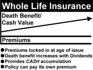 Whole Life Term Insurance 